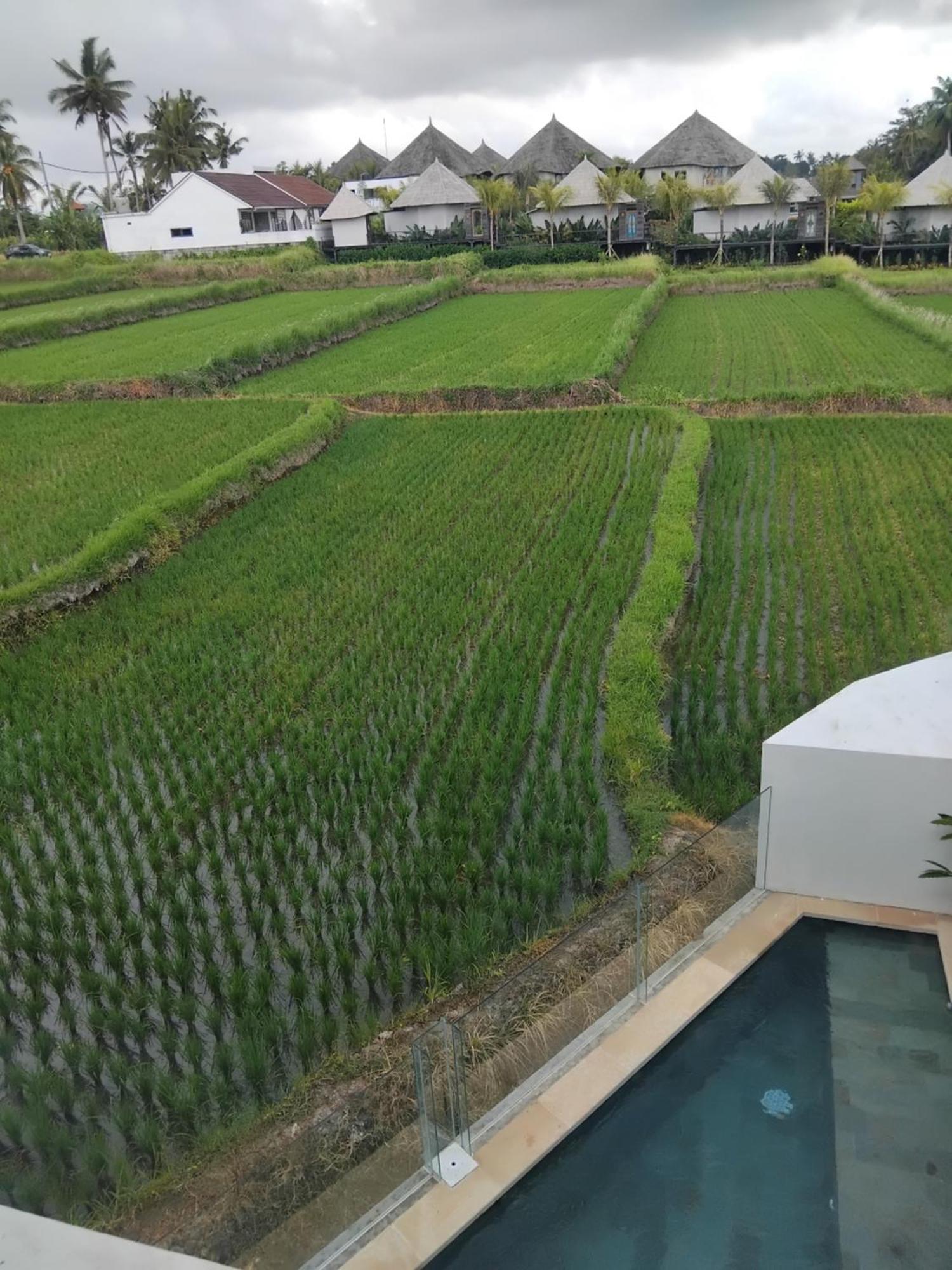 Sujiwa Ubud Hotel & Villa Экстерьер фото